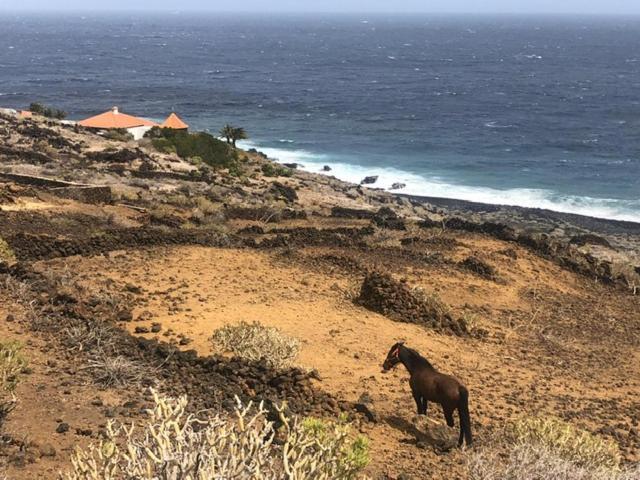 Casa La Lachita La Torre  Eksteriør billede